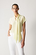 Silk Tie Neck Top