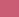 Pink Rose