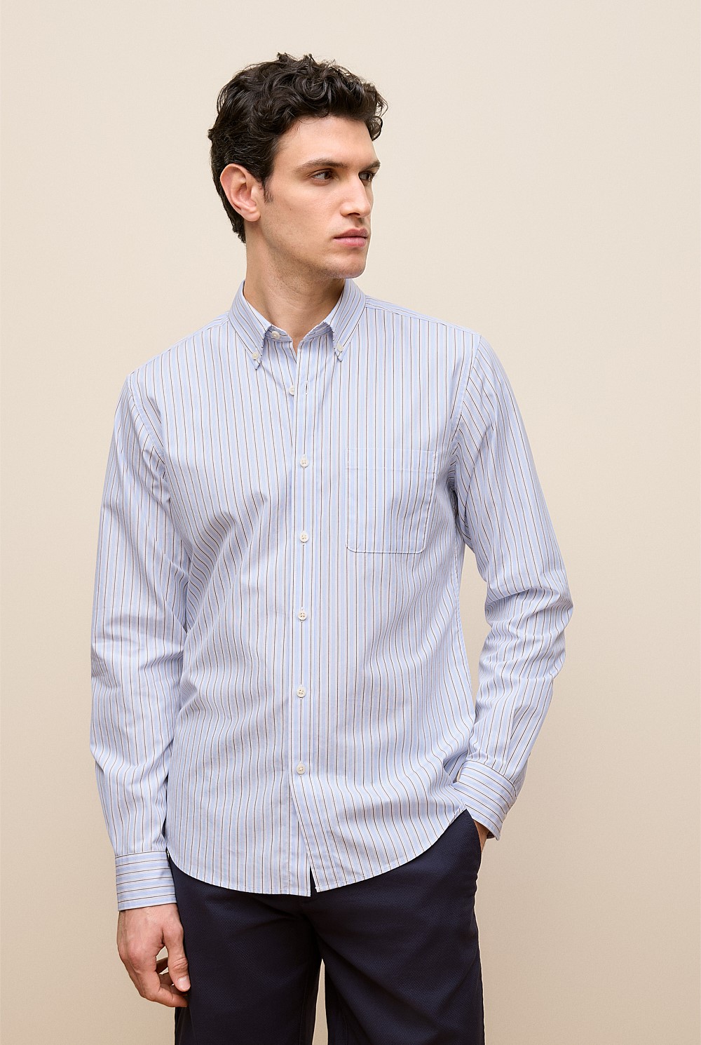 Regular Fit Poplin Stripe Long Sleeve Shirt