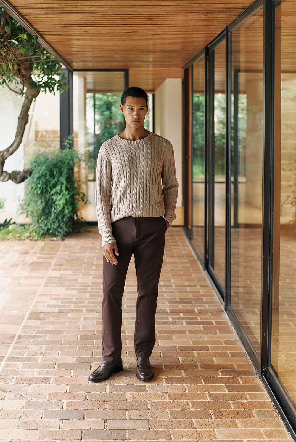 Regular Fit Chino