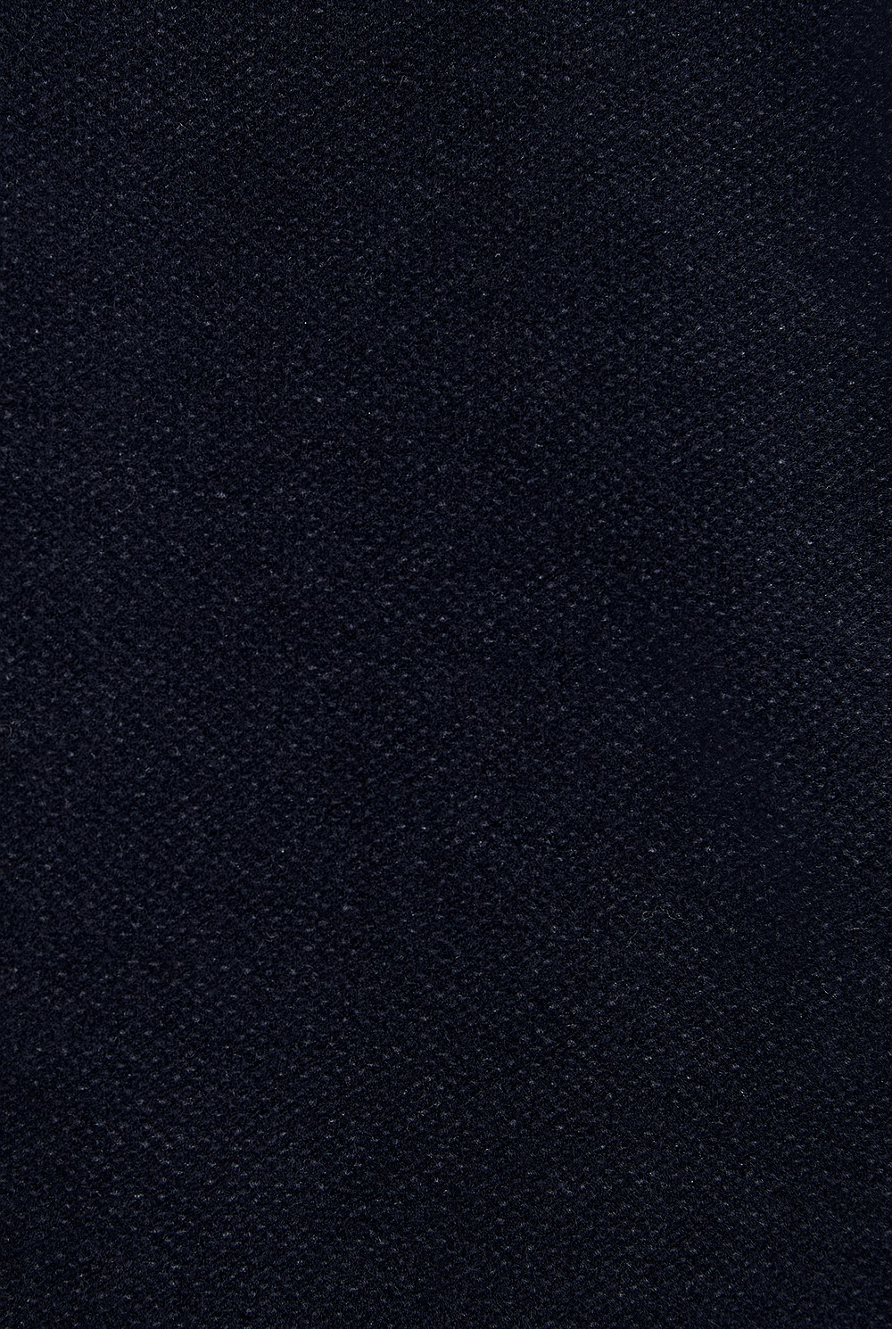 Regular Fit Moleskin Blazer