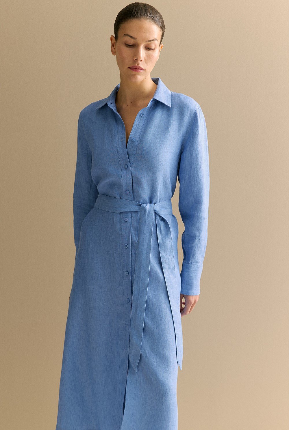 Delave Linen Classic Shirt Dress