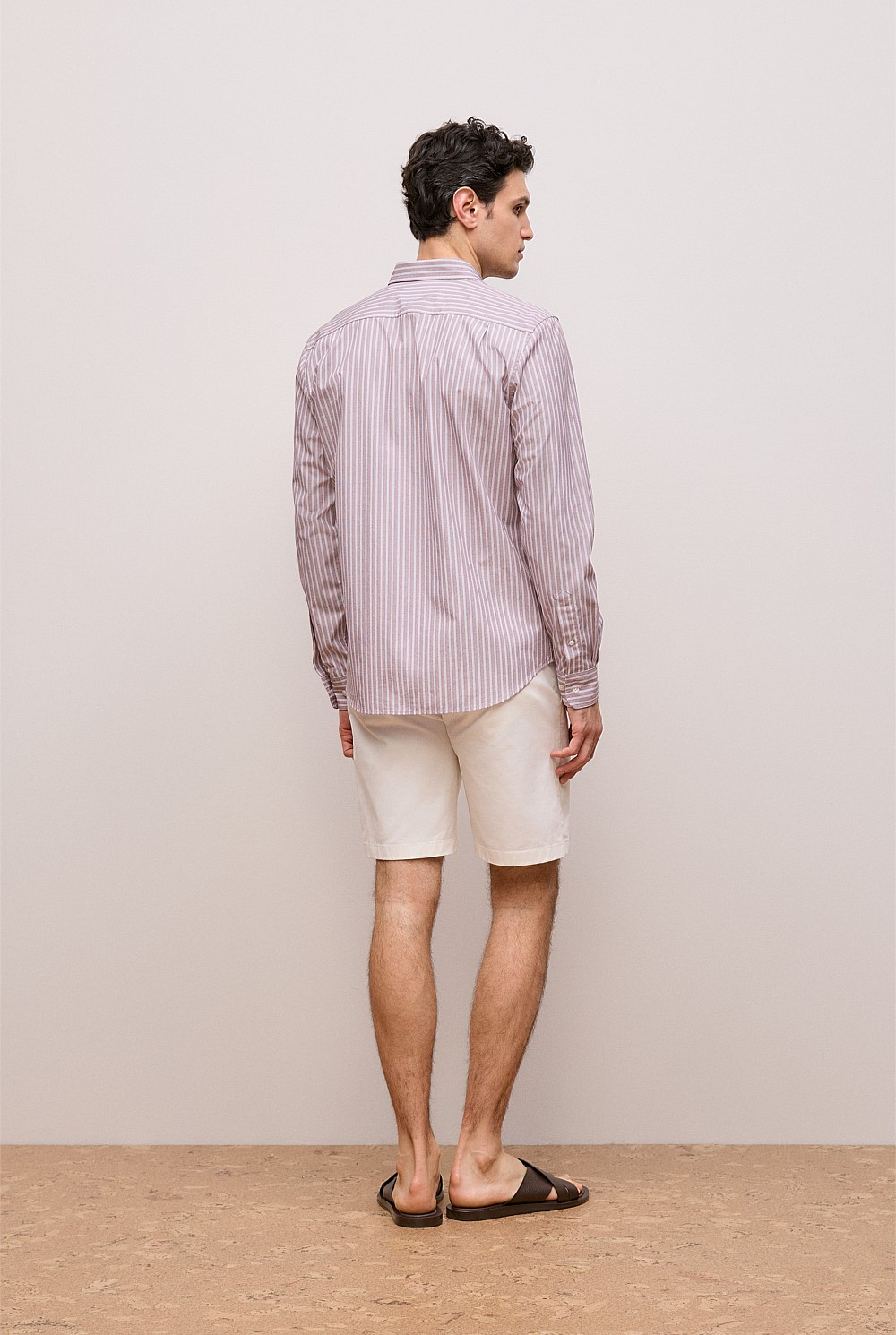 Regular Fit Poplin Stripe Long Sleeve Shirt