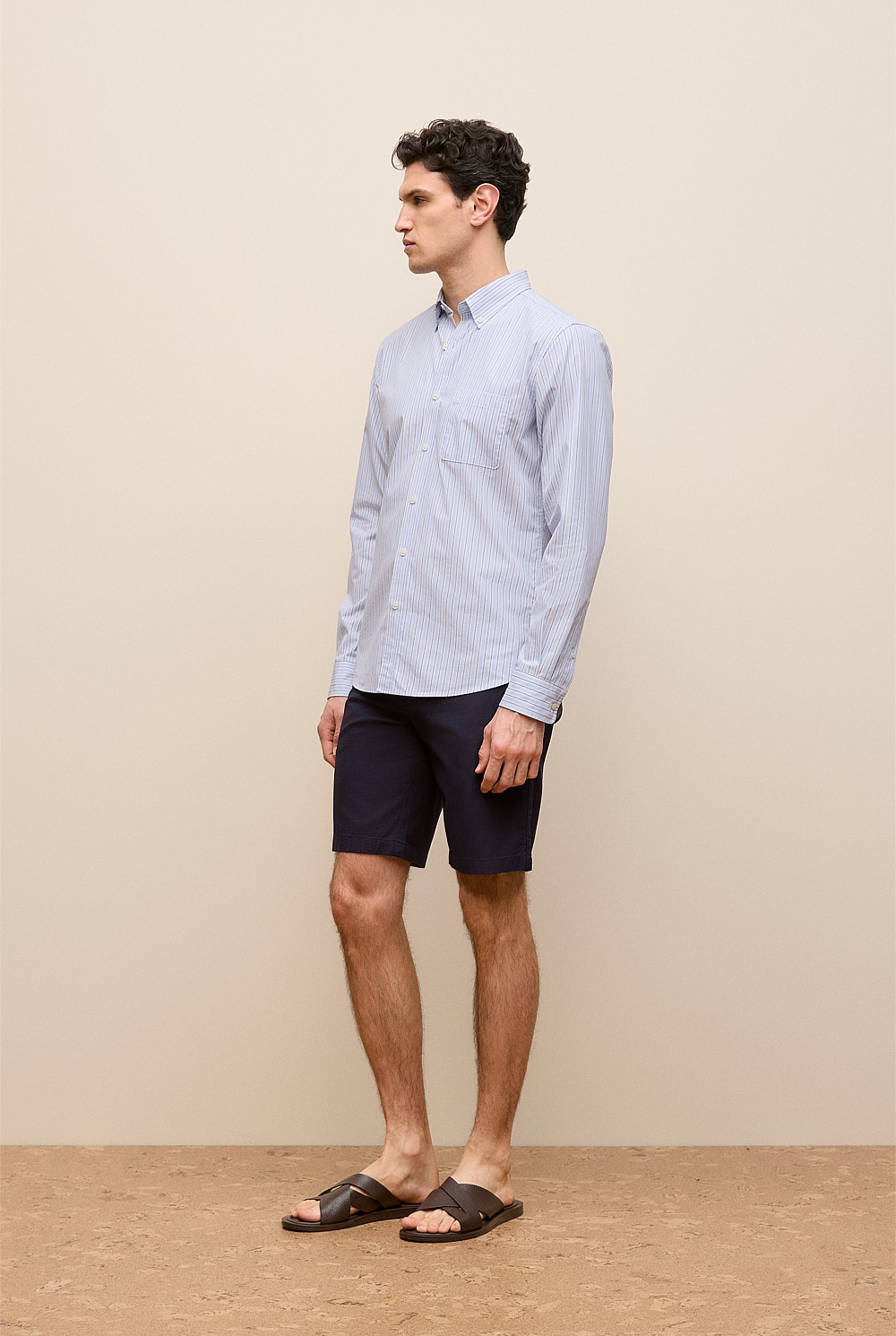 Regular Fit Poplin Stripe Long Sleeve Shirt