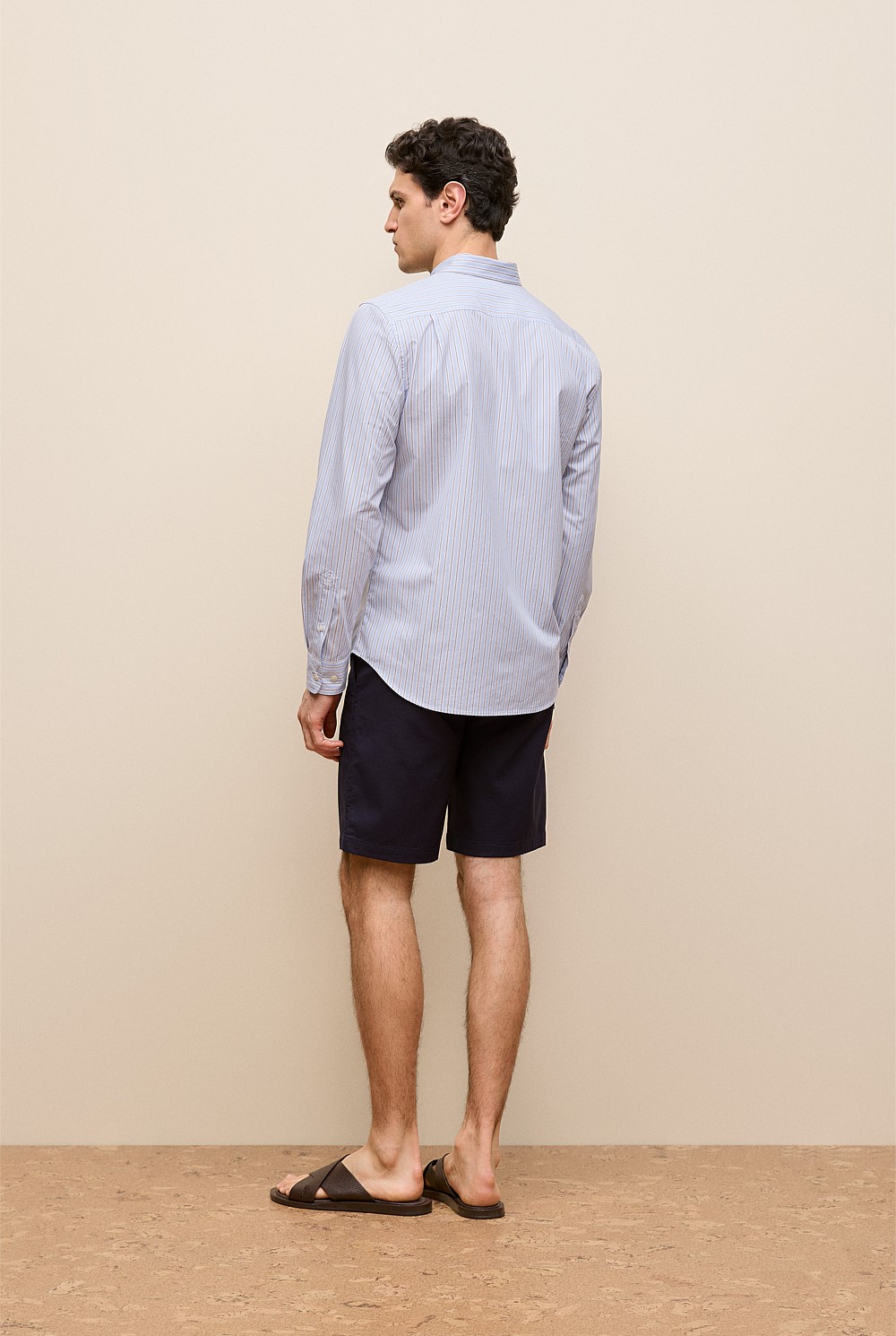 Regular Fit Poplin Stripe Long Sleeve Shirt