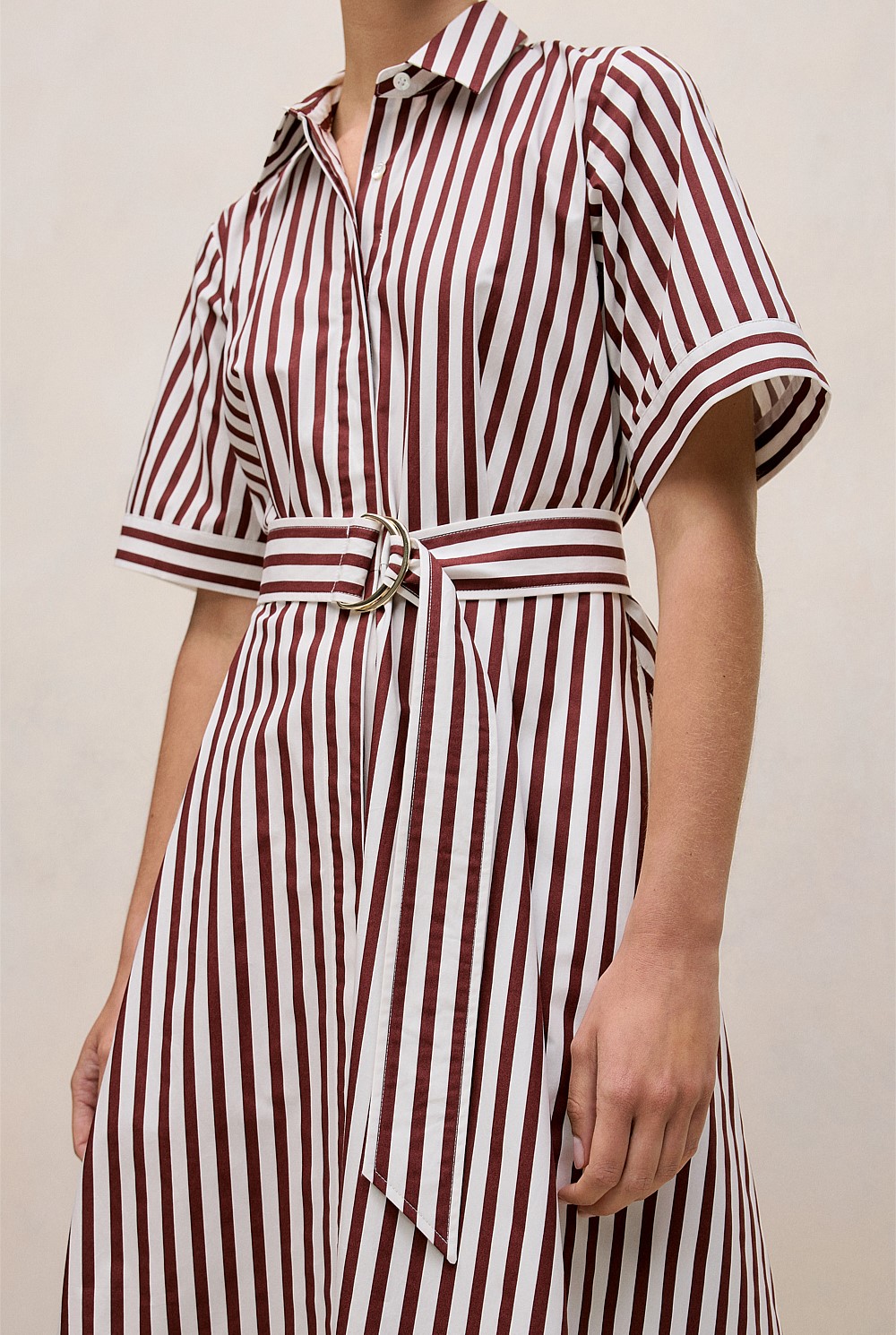 Poplin Stripe Belted Dress