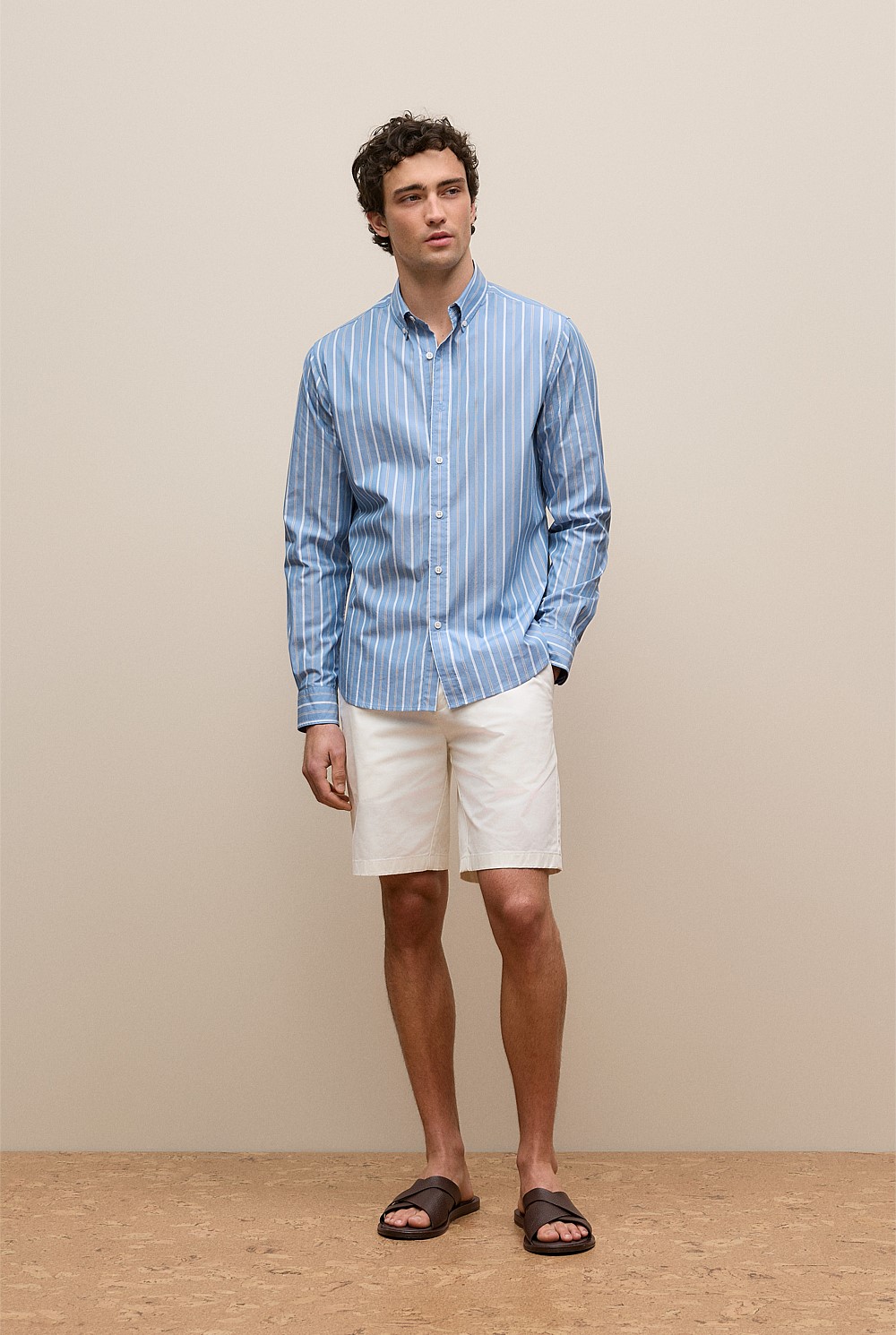 Regular Fit Poplin Stripe Long Sleeve Shirt