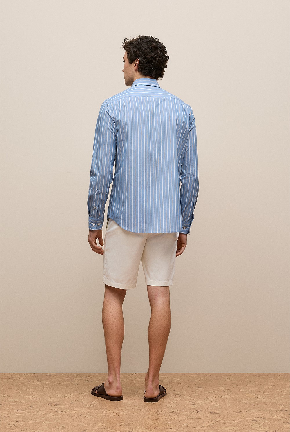 Regular Fit Poplin Stripe Long Sleeve Shirt